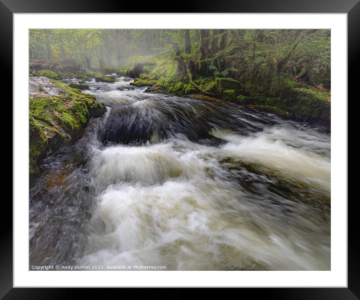 Golitha Falls Autumn 3 Framed Mounted Print by Andy Durnin