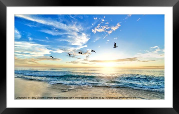 Turtle beach Framed Mounted Print by Tony Williams. Photography email tony-williams53@sky.com