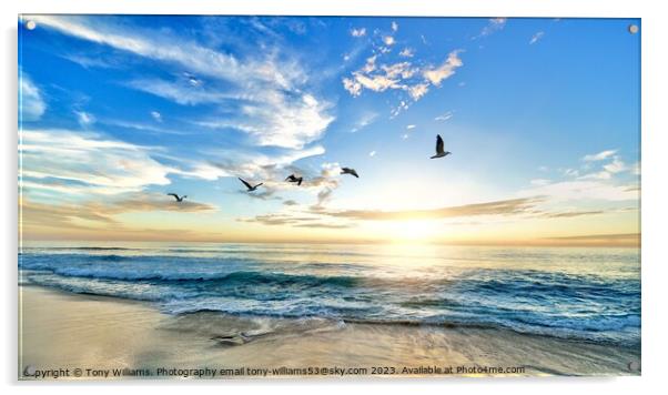 Turtle beach Acrylic by Tony Williams. Photography email tony-williams53@sky.com