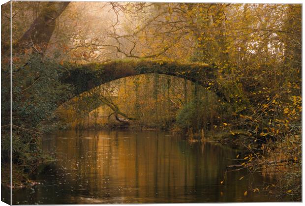 Ivy bridge - Maentwrog Canvas Print by Rory Trappe