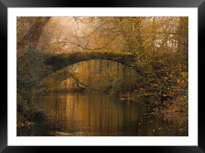 Ivy bridge - Maentwrog Framed Mounted Print by Rory Trappe