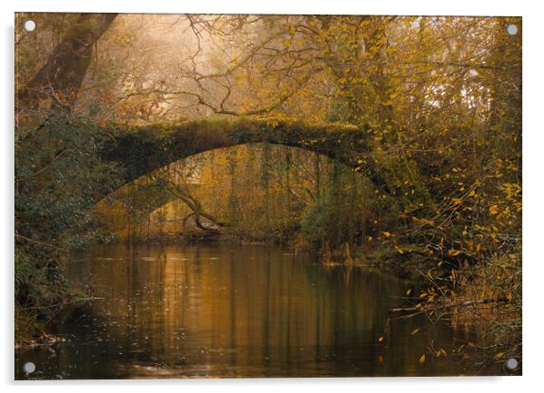 Ivy bridge - Maentwrog Acrylic by Rory Trappe