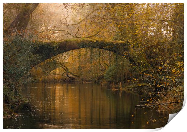 Ivy bridge - Maentwrog Print by Rory Trappe