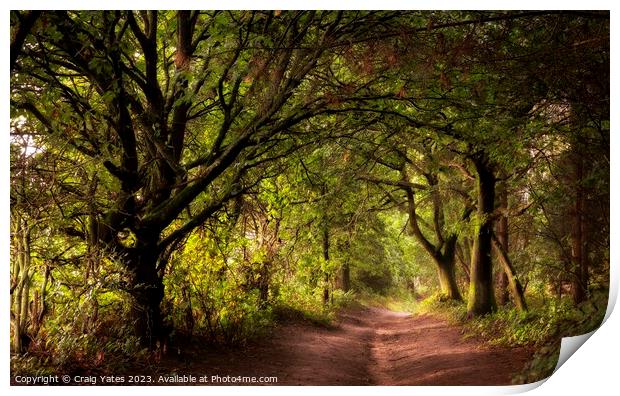 Down The Woodland Path. Print by Craig Yates
