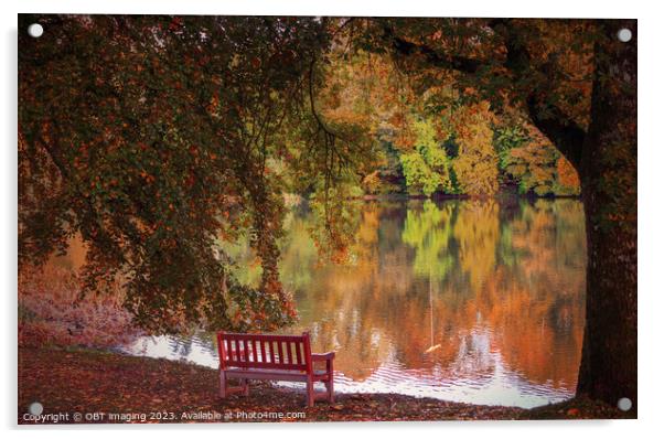 Autumn Glory Reflections Lake Path & Beech Bench Acrylic by OBT imaging