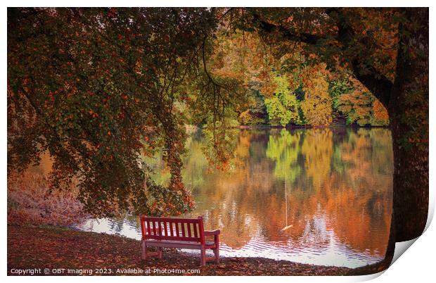 Autumn Glory Reflections Lake Path & Beech Bench Print by OBT imaging