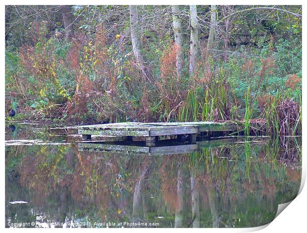 Reflexion Print by Andrew Middleton