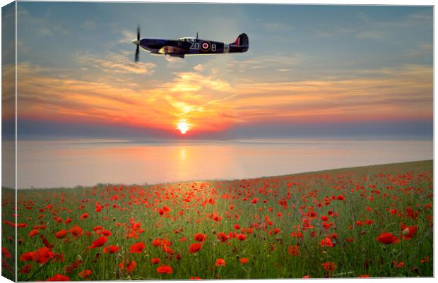 Spitfire Sunset Poppies Canvas Print by Alison Chambers