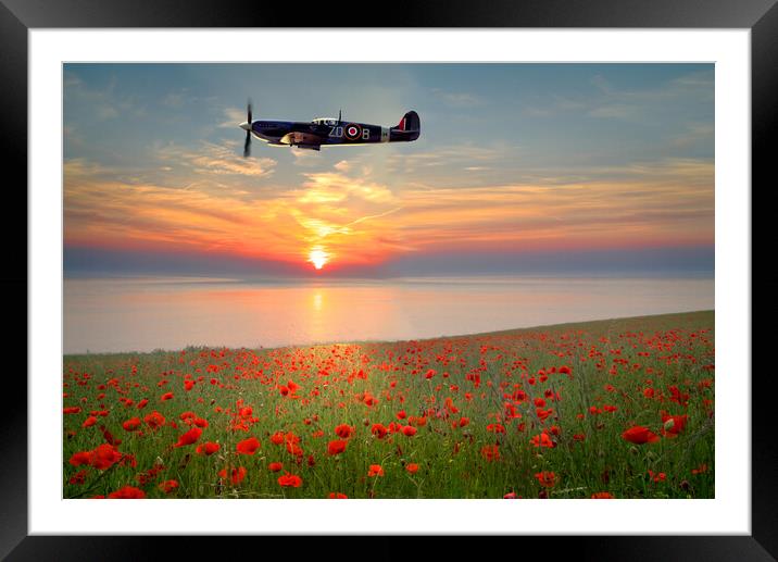 Spitfire Sunset Poppies Framed Mounted Print by Alison Chambers