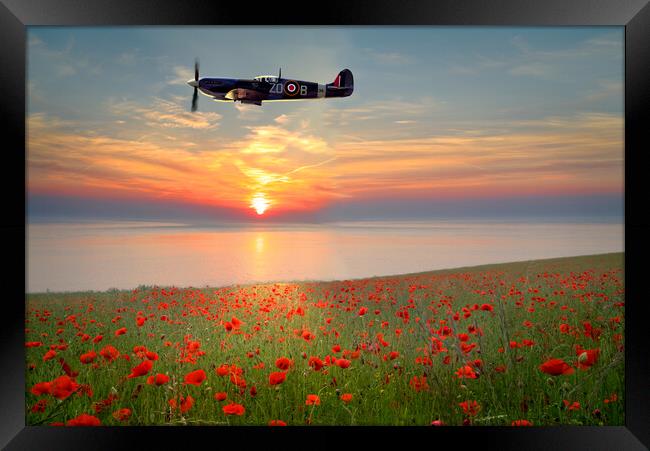 Spitfire Sunset Poppies Framed Print by Alison Chambers