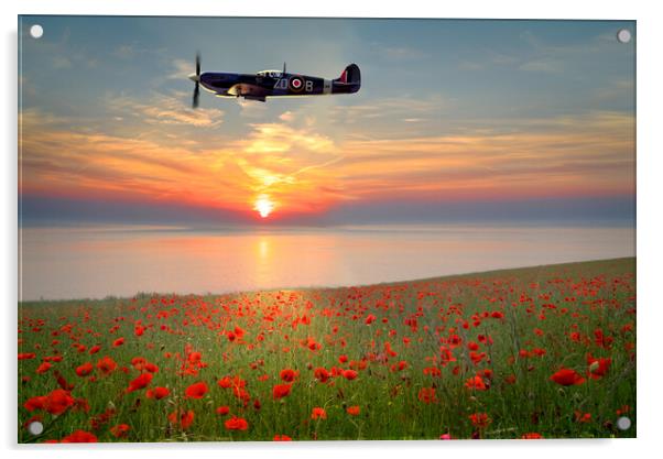 Spitfire Sunset Poppies Acrylic by Alison Chambers