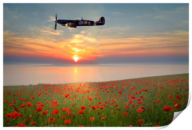 Spitfire Sunset Poppies Print by Alison Chambers