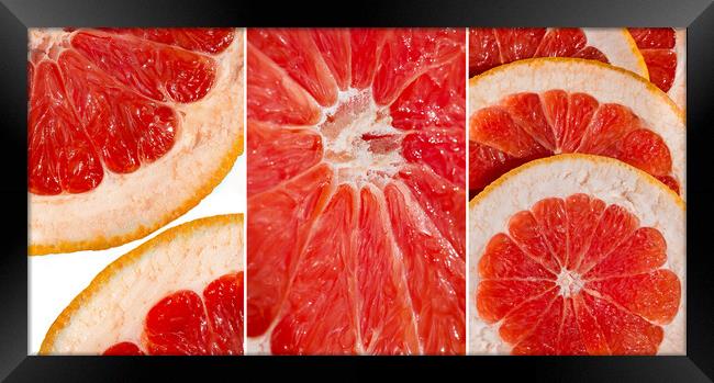 Collage of fresh slices of red grapefruit Framed Print by Olga Peddi