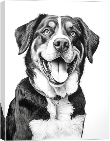 Greater Swiss Mountain Dog Pencil Drawing Canvas Print by K9 Art
