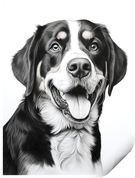 Greater Swiss Mountain Dog Pencil Drawing Print by K9 Art