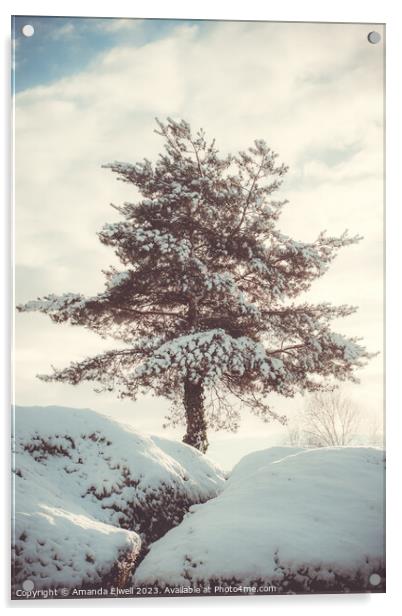 Tree In Snow Scene Acrylic by Amanda Elwell