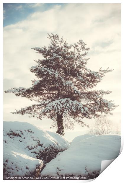 Tree In Snow Scene Print by Amanda Elwell