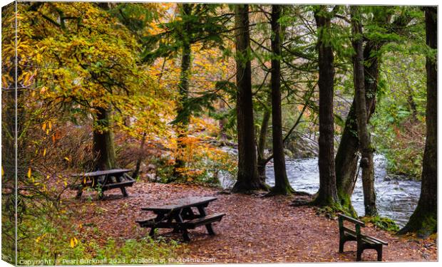 Beside Afon Llugwy River in Betws-y-Coed Canvas Print by Pearl Bucknall