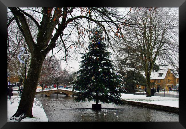 Bourton on the Water Christmas Tree Cotswolds Framed Print by Andy Evans Photos