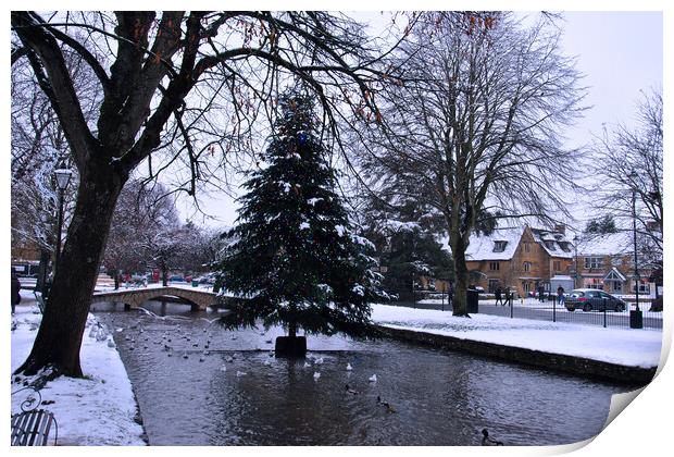 Bourton on the Water Christmas Tree Cotswolds Print by Andy Evans Photos