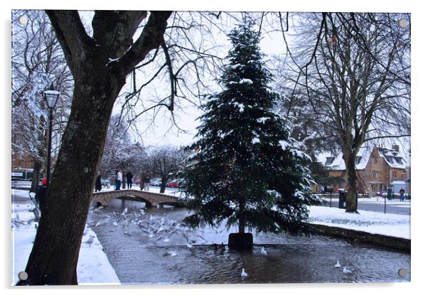 Bourton on the Water Christmas Tree Cotswolds Acrylic by Andy Evans Photos
