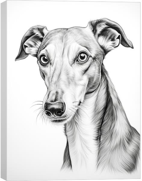 Greyhound Pencil Drawing Canvas Print by K9 Art