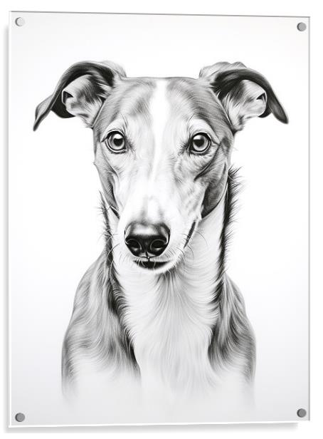 Greyhound Pencil Drawing Acrylic by K9 Art