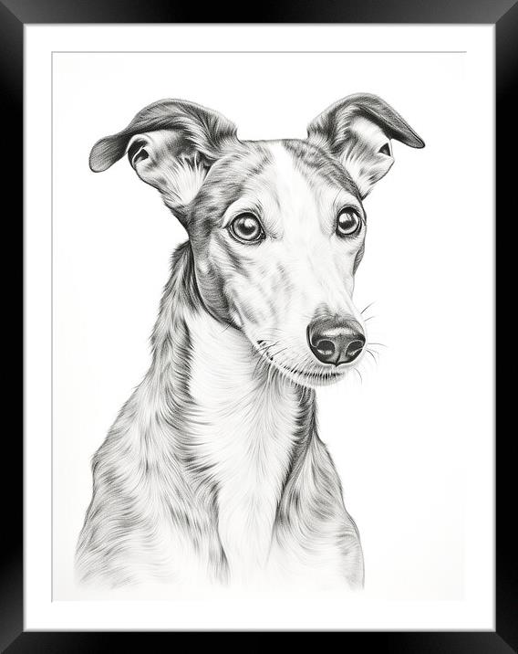 Greyhound Pencil Drawing Framed Mounted Print by K9 Art