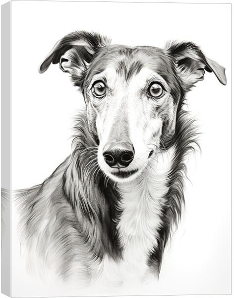 Greyhound Pencil Drawing Canvas Print by K9 Art