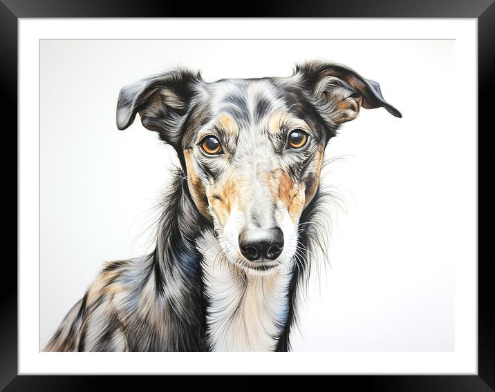 Greyhound Pencil Drawing Framed Mounted Print by K9 Art