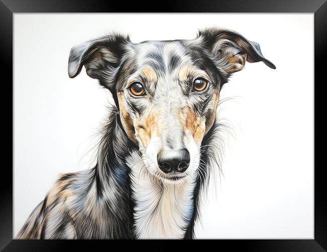 Greyhound Pencil Drawing Framed Print by K9 Art