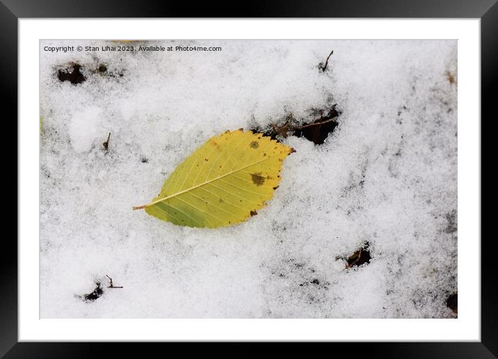 Yellow leaf on snow Framed Mounted Print by Stan Lihai