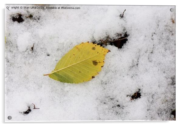 Yellow leaf on snow Acrylic by Stan Lihai