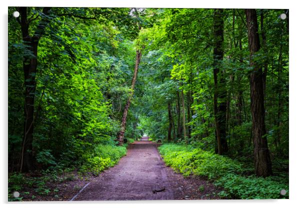 Path Through Green Forest Park Acrylic by Artur Bogacki