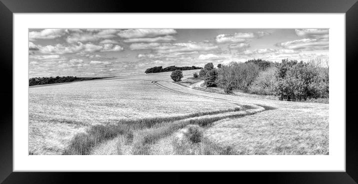 Chanctonbury Lines Panorama Framed Mounted Print by Malcolm McHugh