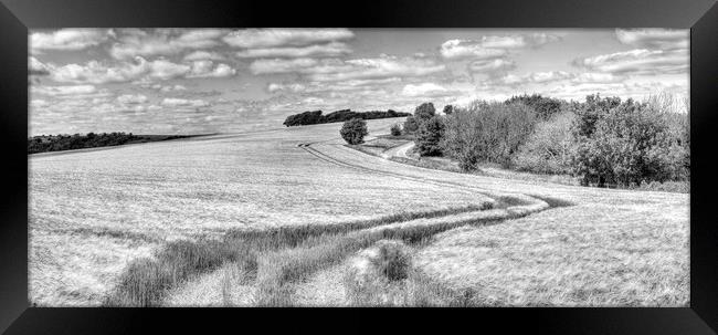 Chanctonbury Lines Panorama Framed Print by Malcolm McHugh