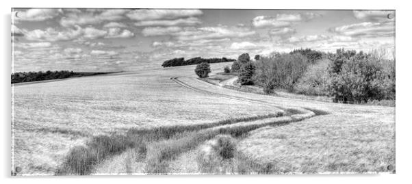 Chanctonbury Lines Panorama Acrylic by Malcolm McHugh