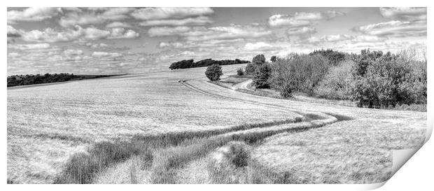 Chanctonbury Lines Panorama Print by Malcolm McHugh
