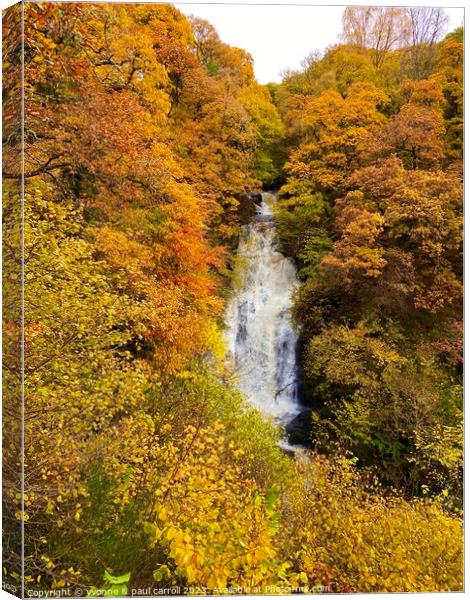 The Black Spout waterfall in Autumn Canvas Print by yvonne & paul carroll