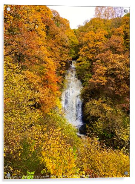 The Black Spout waterfall in Autumn Acrylic by yvonne & paul carroll