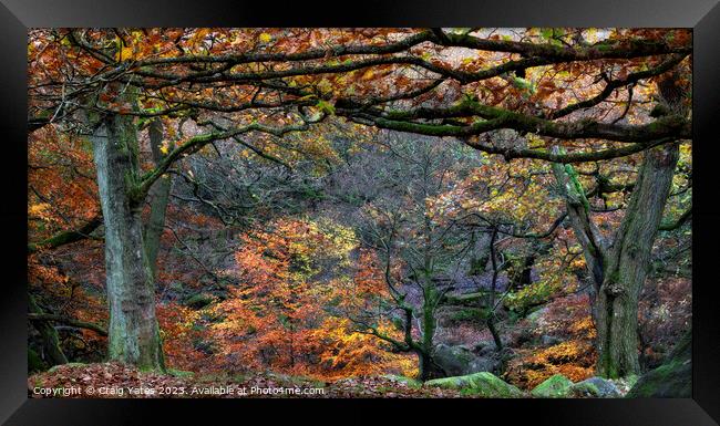 Autumn in Padley Gorge Peak District Framed Print by Craig Yates