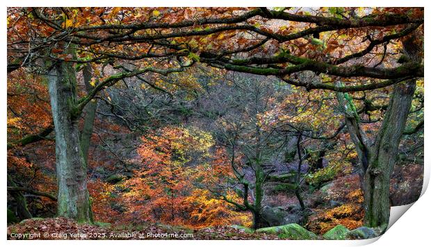 Autumn in Padley Gorge Peak District Print by Craig Yates