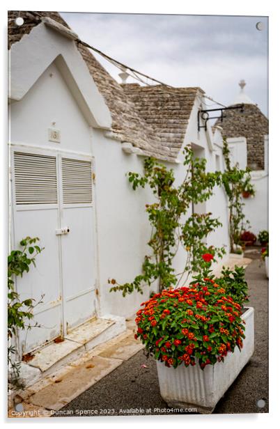 Tulli Houses of Alberobello Acrylic by Duncan Spence