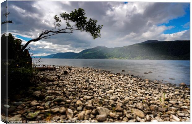 Loch Ness lone tree Canvas Print by Duncan Spence