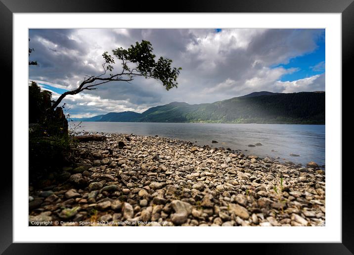 Loch Ness lone tree Framed Mounted Print by Duncan Spence