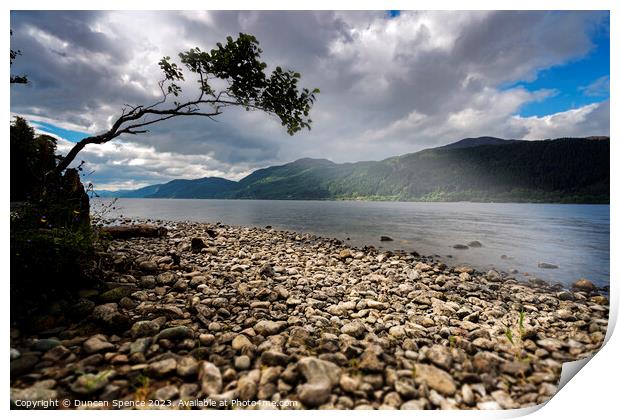 Loch Ness lone tree Print by Duncan Spence