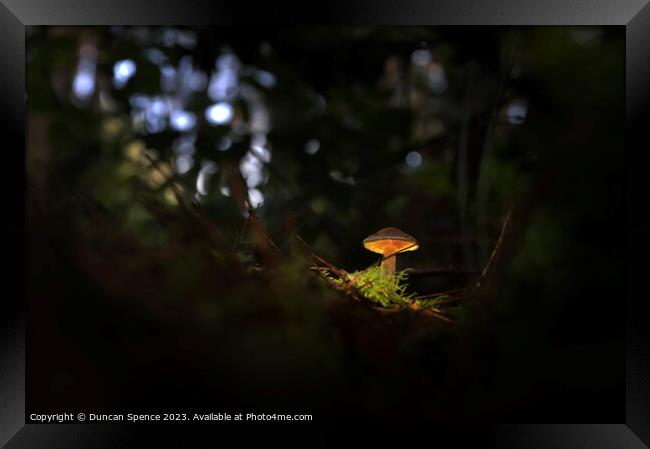 Glowing Mushroom Framed Print by Duncan Spence