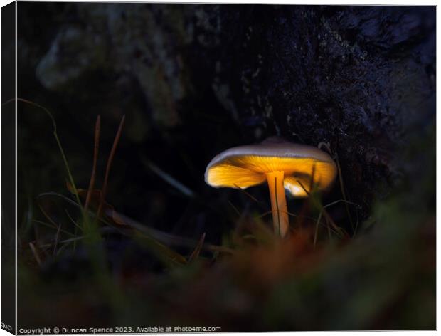Glowing Mushroom Canvas Print by Duncan Spence