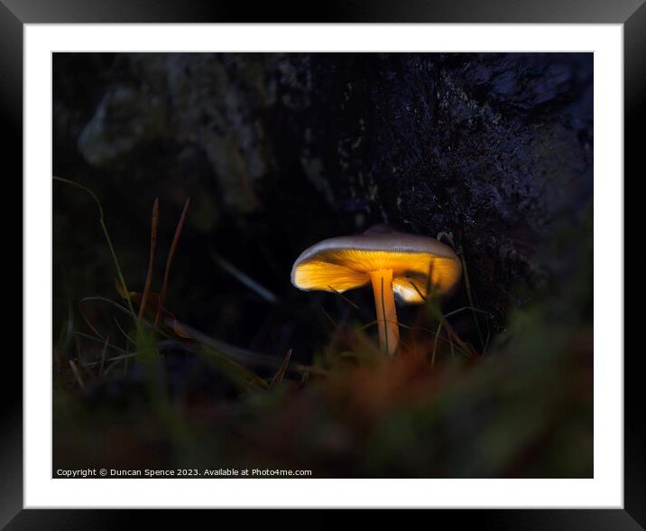 Glowing Mushroom Framed Mounted Print by Duncan Spence