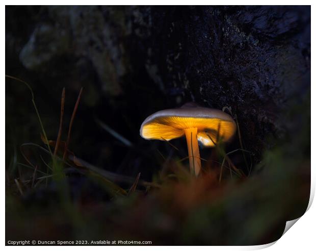 Glowing Mushroom Print by Duncan Spence